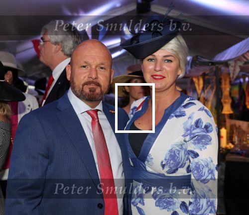 Haarzuilen, 19 Juni 2019
Haringparty Kasteel Haarzuilen
Marco Kroon en echtgenote