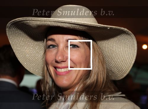 Haarzuilen, 19 Juni 2019
Haringparty Kasteel Haarzuilen
Marianne Timmer