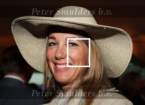 Haarzuilen, 19 Juni 2019
Haringparty Kasteel Haarzuilen
Marianne Timmer