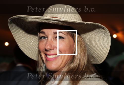 Haarzuilen, 19 Juni 2019
Haringparty Kasteel Haarzuilen
Marianne Timmer