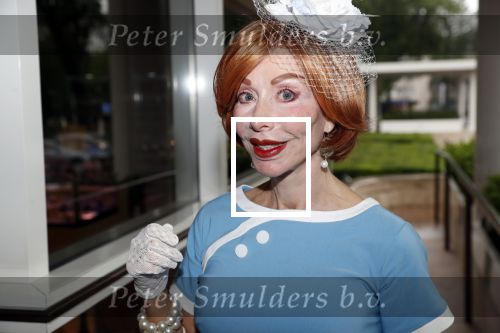 Amsterdam 12 juni 2019
Haringparty bij het Hilton hotel. marijke Helwegen met een kennis