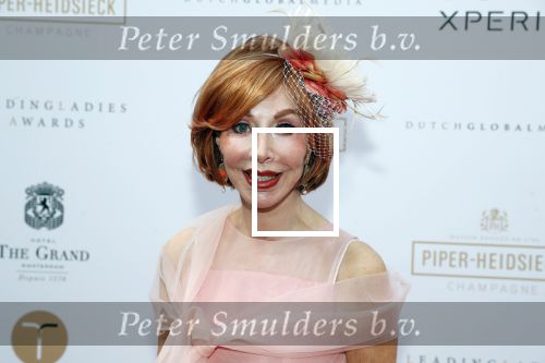 Amsterdam 18 juni 2019
Leading ladies awards bij hotel the Grand. Marijke Helwegn