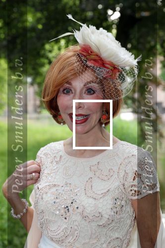 Haarzuilen, 19 Juni 2019
Haringparty Kasteel Haarzuilen
Marijke Helwegen