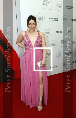 Amsterdam 29 juni 2019
Premiere young patrons circle in de stopera. 
Mascha Feoktistova