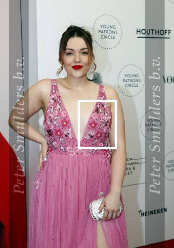 Amsterdam 29 juni 2019
Premiere young patrons circle in de stopera. 
Mascha Feoktistova