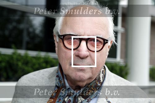 Amsterdam 12 juni 2019
Haringparty bij het Hilton hotel. Matthijs v Heininge kwam met zijn vrouw