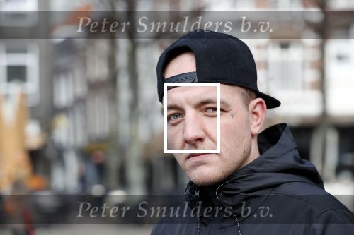 Den Haag 13 maart 2019
De stiefzoon van raymond v Barneveld Michael Batelaan