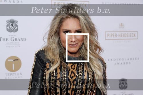 Amsterdam 18 juni 2019
Leading ladies awards bij hotel the Grand. Nikkie Plessen