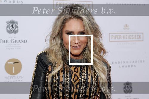 Amsterdam 18 juni 2019
Leading ladies awards bij hotel the Grand. Nikkie Plessen