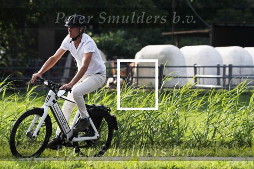 Loenen 24 juni 2019
Pieter van Beukering ( man van Yvon Jaspers) laat hond uit en vertrekt daarna op electrische fiets naar zijn werk.