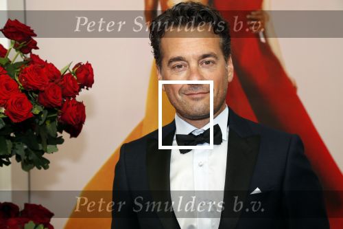 Amsterdam 29 juni 2019
Premiere young patrons circle in de stopera. 
Rik v d Westelaken