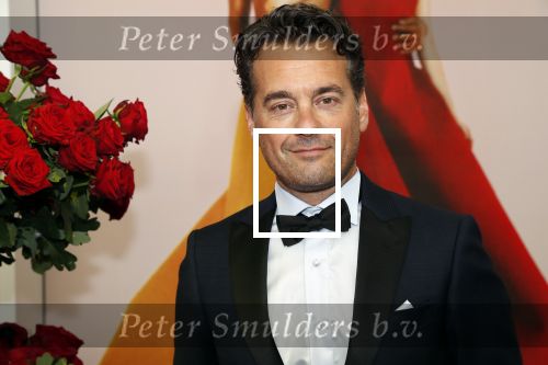 Amsterdam 29 juni 2019
Premiere young patrons circle in de stopera. 
Rik v d Westelaken