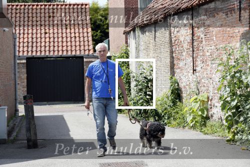 Sluis 6 juni 2019
Robert Weijers de ex partner van Rob Verlinden in zijn huisje in Sluis en met zijn hond en camper.