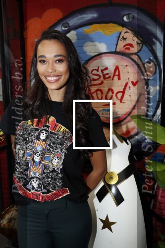 Amsterdam 6 juni 2019
Talkies terras awards bij de Harbour club . Romy Monteiro