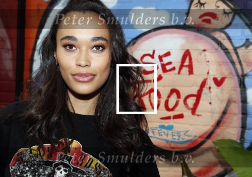 Amsterdam 6 juni 2019
Talkies terras awards bij de Harbour club . Romy Monteiro
