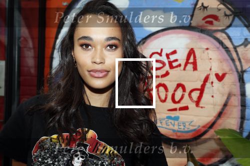 Amsterdam 6 juni 2019
Talkies terras awards bij de Harbour club . Romy Monteiro