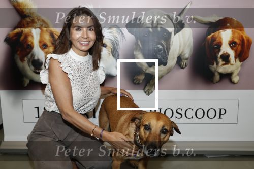 Amsterdam 12 juni 2019
Premiere a dogs Journey by Lucky Smit.
Bas Smit Anouk Smulders en Rosanna Kluivert zijn aanwezig met hun honden.