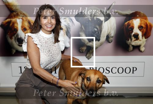 Amsterdam 12 juni 2019
Premiere a dogs Journey by Lucky Smit.
Bas Smit Anouk Smulders en Rosanna Kluivert zijn aanwezig met hun honden.