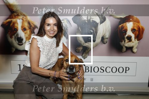 Amsterdam 12 juni 2019
Premiere a dogs Journey by Lucky Smit.
Bas Smit Anouk Smulders en Rosanna Kluivert zijn aanwezig met hun honden.
