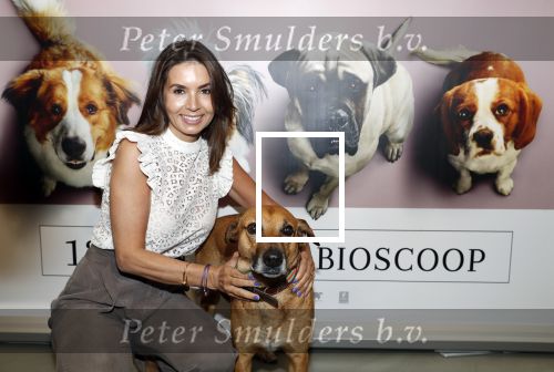 Amsterdam 12 juni 2019
Premiere a dogs Journey by Lucky Smit.
Bas Smit Anouk Smulders en Rosanna Kluivert zijn aanwezig met hun honden.