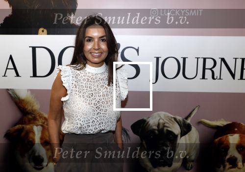 Amsterdam 12 juni 2019
Premiere a dogs Journey by Lucky Smit.
Bas Smit Anouk Smulders en Rosanna Kluivert zijn aanwezig met hun honden.