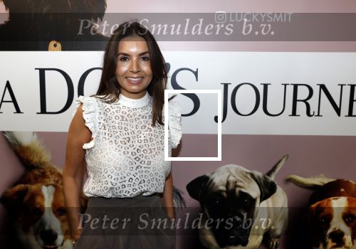 Amsterdam 12 juni 2019
Premiere a dogs Journey by Lucky Smit.
Bas Smit Anouk Smulders en Rosanna Kluivert zijn aanwezig met hun honden.