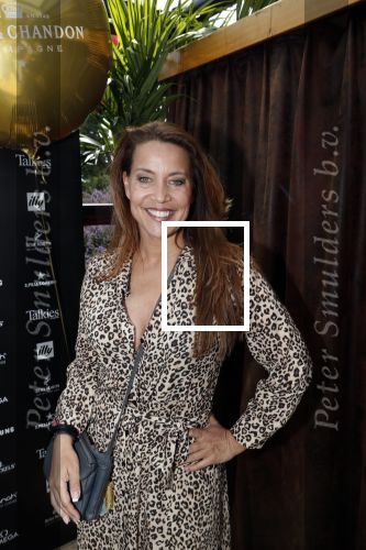 Amsterdam 6 juni 2019
Talkies terras awards bij de Harbour club . Sandy kandau