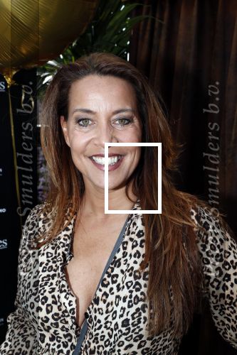 Amsterdam 6 juni 2019
Talkies terras awards bij de Harbour club . Sandy kandau
