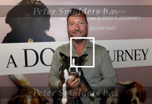 Amsterdam 12 juni 2019
Premiere a dogs Journey by Lucky Smit.
Bas Smit Anouk Smulders en Rosanna Kluivert zijn aanwezig met hun honden. Steinar Dietz