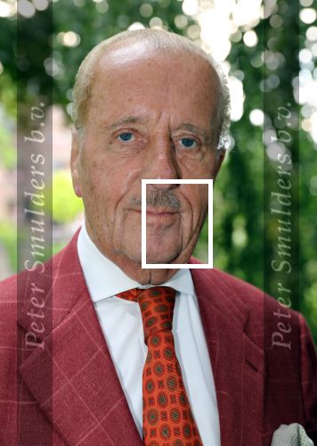 Haarzuilen, 19 Juni 2019
Haringparty Kasteel Haarzuilen
Theo Hiddema