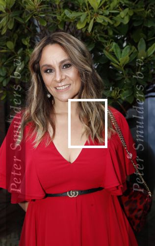 Amsterdam 18 juni 2019
Leading ladies awards bij hotel the Grand. Trijntje Oosterhuis