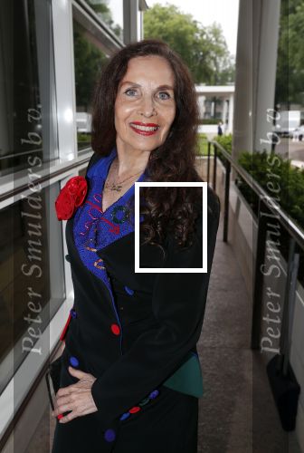 Amsterdam 12 juni 2019
Haringparty bij het Hilton hotel. Yonina