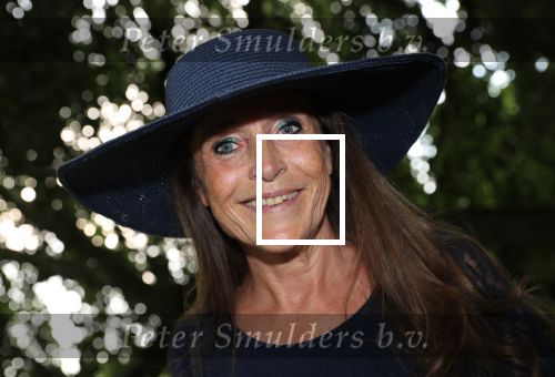 Haarzuilen, 19 Juni 2019
Haringparty Kasteel Haarzuilen
Yvonne v Gennip
