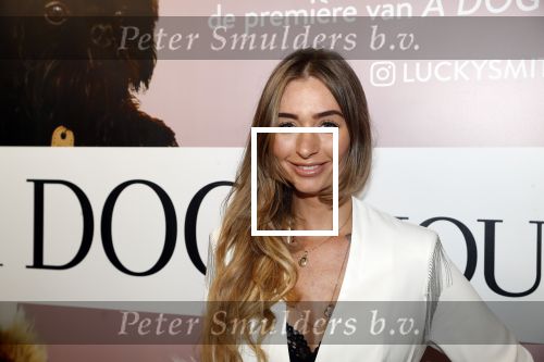 Amsterdam 12 juni 2019
Premiere a dogs Journey by Lucky Smit.
Bas Smit Anouk Smulders en Rosanna Kluivert zijn aanwezig met hun honden.
