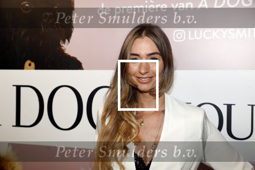 Amsterdam 12 juni 2019
Premiere a dogs Journey by Lucky Smit.
Bas Smit Anouk Smulders en Rosanna Kluivert zijn aanwezig met hun honden.