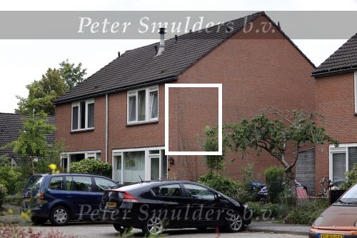 Norg 15 juli 2020
Het huis van de vader van Romy Monteiro, Carlos Montero