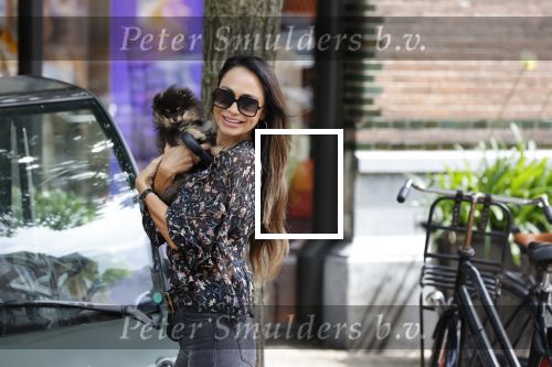 Amsterdam 3 juli 2020
Chantal Oornink met haar hondje in Amsterdam zuid