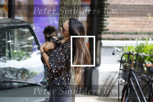 Amsterdam 3 juli 2020
Chantal Oornink met haar hondje in Amsterdam zuid