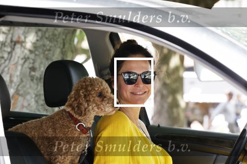 Amsterdam 17 juni 2020
Evelyn Struik met haar hond in de auto