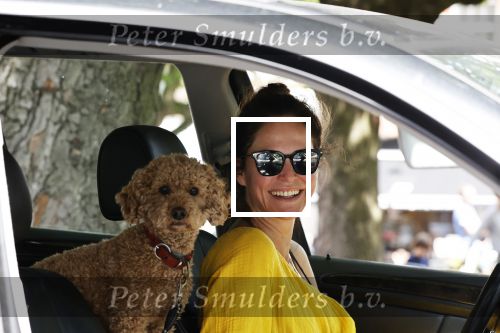 Amsterdam 17 juni 2020
Evelyn Struik met haar hond in de auto
