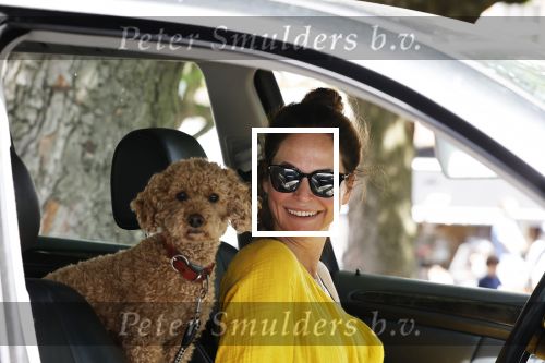 Amsterdam 17 juni 2020
Evelyn Struik met haar hond in de auto
