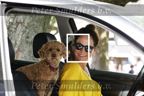 Amsterdam 17 juni 2020
Evelyn Struik met haar hond in de auto