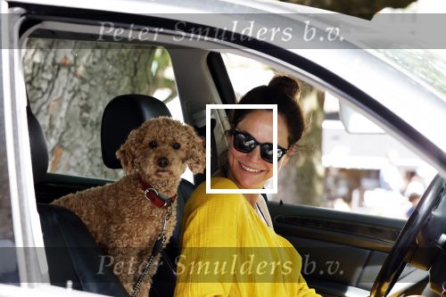 Amsterdam 17 juni 2020
Evelyn Struik met haar hond in de auto