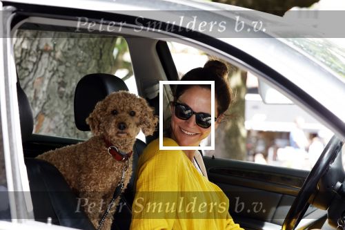 Amsterdam 17 juni 2020
Evelyn Struik met haar hond in de auto