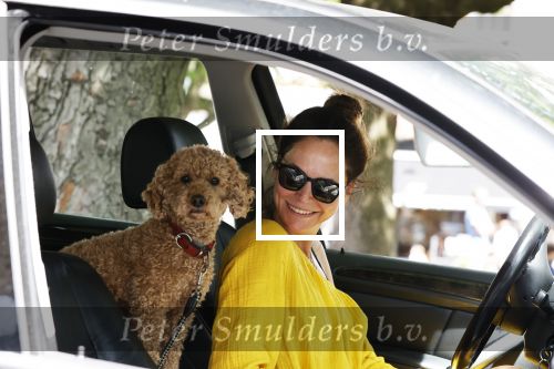 Amsterdam 17 juni 2020
Evelyn Struik met haar hond in de auto