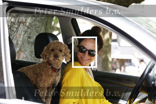 Amsterdam 17 juni 2020
Evelyn Struik met haar hond in de auto