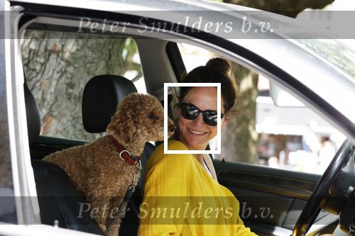 Amsterdam 17 juni 2020
Evelyn Struik met haar hond in de auto