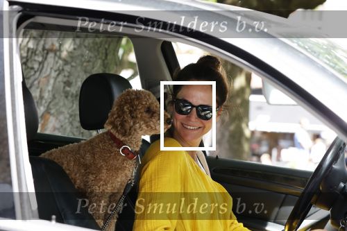 Amsterdam 17 juni 2020
Evelyn Struik met haar hond in de auto