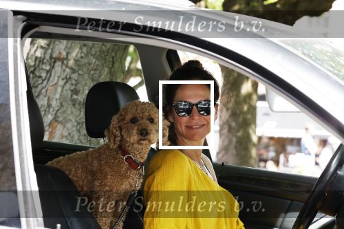 Amsterdam 17 juni 2020
Evelyn Struik met haar hond in de auto