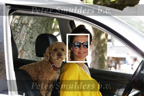 Amsterdam 17 juni 2020
Evelyn Struik met haar hond in de auto